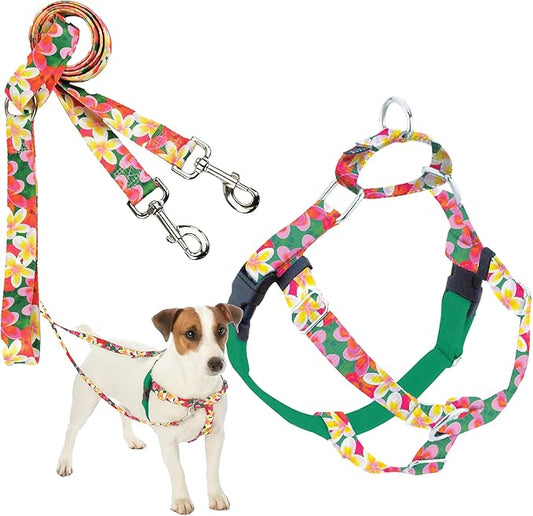 2 Hounds Design - Freedom No-Pull Harness & Training Leash in Green Aloha | Dual Leash Loops, No Pulling on Walks | Lined to Prevent Chaffing | for Small Sized Dogs (Size S, Chest 20”- 24”)