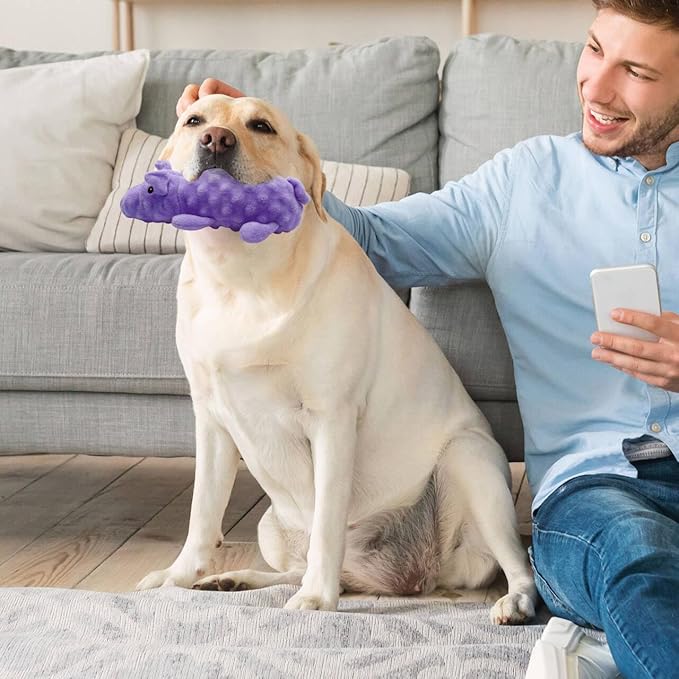 Andiker Dog Squeaky Toys, 10 in/24.5 cm Plush Dogs Toy Soft Dog Chew Toys in Pig Shape for Chewing Biting, Stuffed Puppy Toys with a 9.5 cm Squeaker and Crinkle Paper for All Breed Sizes Dogs (Purple)