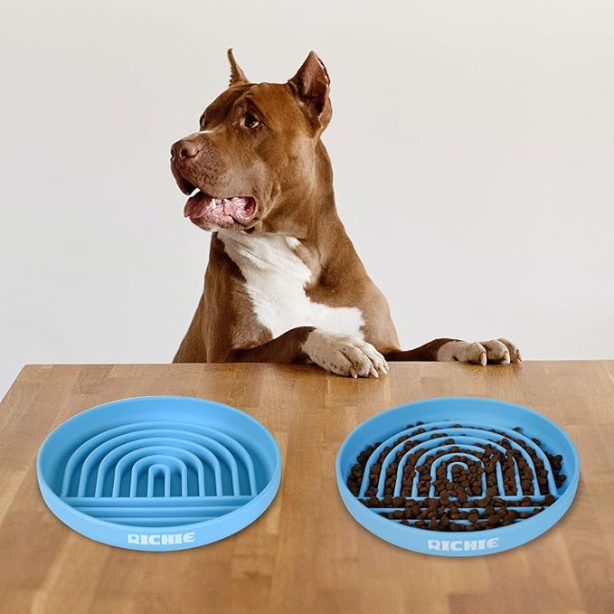 Slow Feed Dog Bowl, Anti-Gulping, Durable Silicone, Safe for Small to Large Breeds, Blue