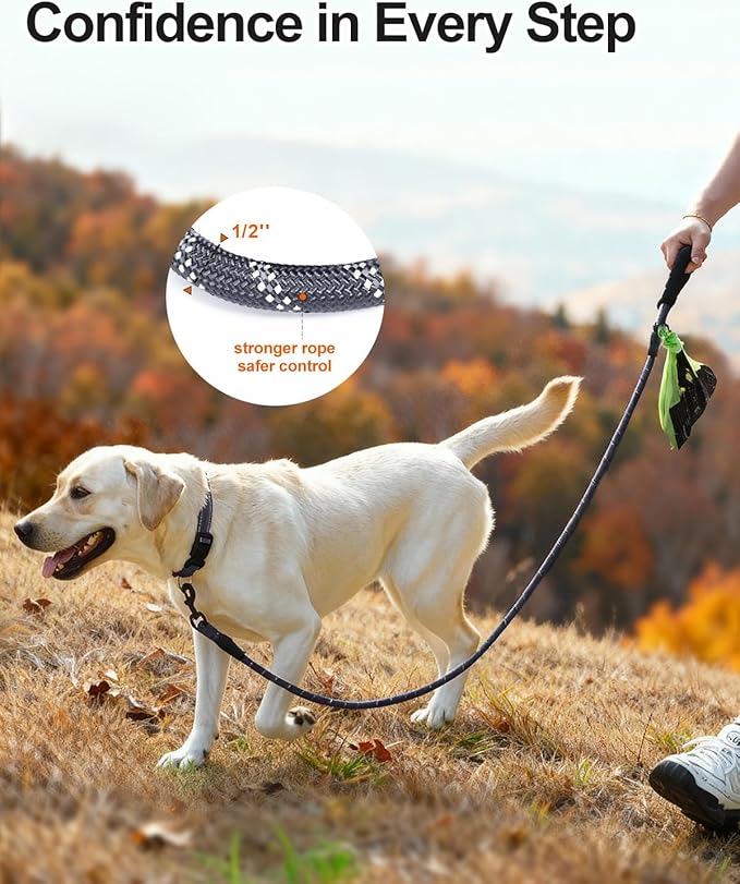 Joytale Dog Leash for Large Dogs, Heavy Duty Nylon Leashes with Comfortable Padded Handle and Highly Reflective Threads, Ideal for Walking and Training, Gray, 6'×1/2''