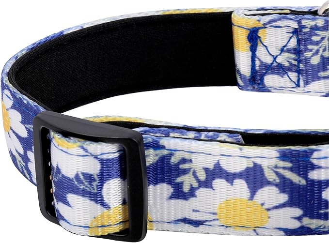 Reflective Dog Collar, Adjustable Soft Neoprene Padded Nylon Pet Collars with Buckle for Puppy and Small Dogs, Cats, Small Daisies Blue,L