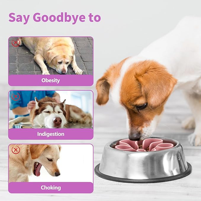 Slow Feeder Dog Bowls Insert, Bestalk Soft Silicone Slow Eating Dog Bowl Insert with Suction Cups for Small, Medium and Large Dogs(Pink M)