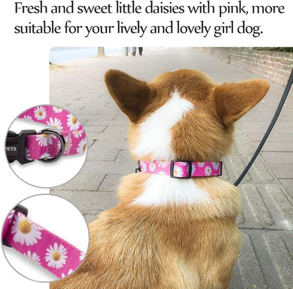 QQPETS Adjustable Soft Dog Collar: Print Flower Pink Multicolor Cute Patterns for XS Small Medium Large Pet Girl Boy Puppy Walking Running Training (S, Small Daisies)