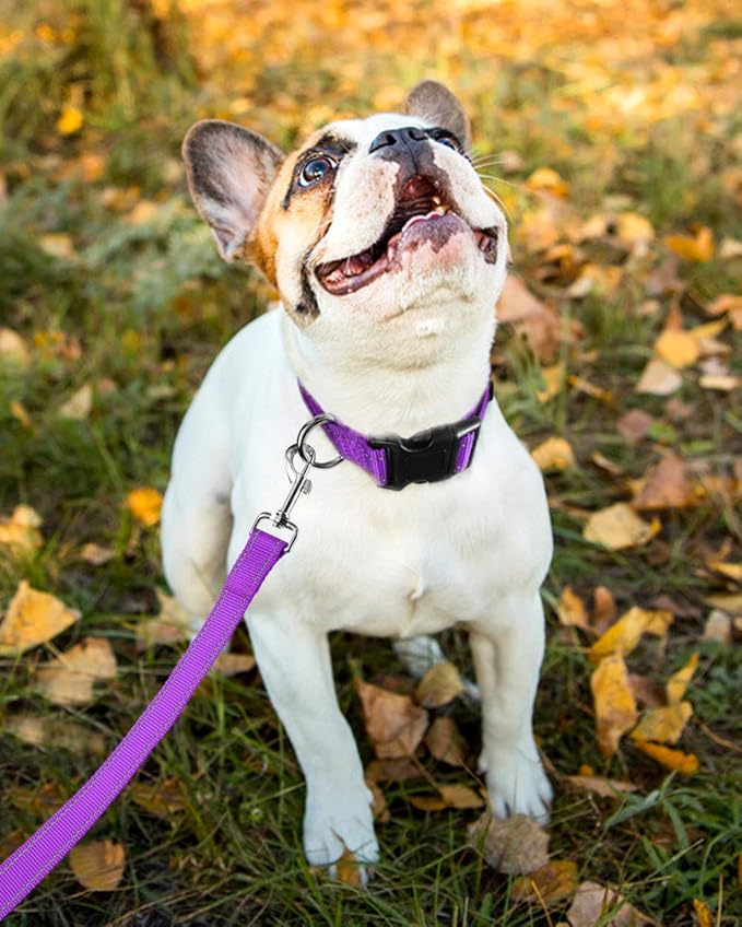 FunTags Reflective Dog Collar, Sturdy Nylon Collars for Small Girl and Boy Dogs, Adjustable Dog Collar with Quick Release Buckle, Purple