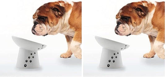 Necoichi Raised Dog Food Bowl, Elevated, for Dogs and Cats, Pets Feeding Feeder Non-Slip for Small Dogs Dishwasher and Microwave Safe, No.1 Seller in Japan! (Dog, Extra Wide Tilted) (Pack of 2)