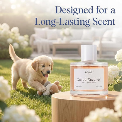 Perfume Gift Pack - Contains One Citrus Tale Fragrance, One Sweet Snooze Fragrance and Massage Brush
