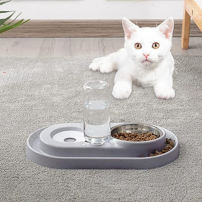 Luck Dawn Pet Feeder, Stainless Steel Double Dog Cat Bowls with Automatic Water Dispenser, for Small and Medium Pets, 500ml, Pink/Blue/Grey