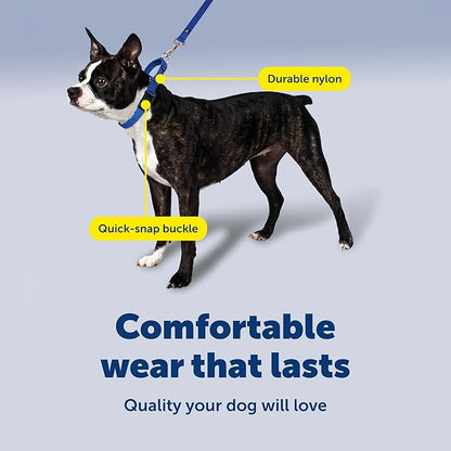 PetSafe Martingale Collar with Quick-Snap Buckle - Adjustable No-Slip Quick Release Dog Collar - Everyday Wear No-Pull Training Aid - 1" Wide - Large - Black