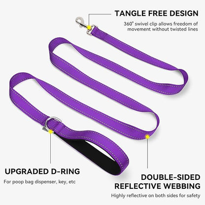 Joytale Dog Leash, 4 FT Double-Sided Reflective, Padded Handle Nylon Heavy Duty Leashes for Medium & Large Dogs Walking, Purple
