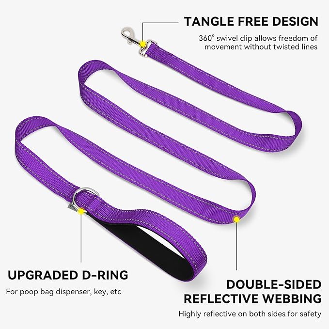 Joytale Dog Leash, 5 FT Double-Sided Reflective, Padded Handle Nylon Heavy Duty Leashes for Small Dogs Walking, Purple