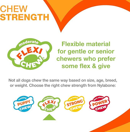 Nylabone Textured Dental Bone Flexi Chew Toy for Dogs, Dog Toys for Moderate Chewers, Chicken Flavor, X-Small - Up to 15 lbs, 1 Count