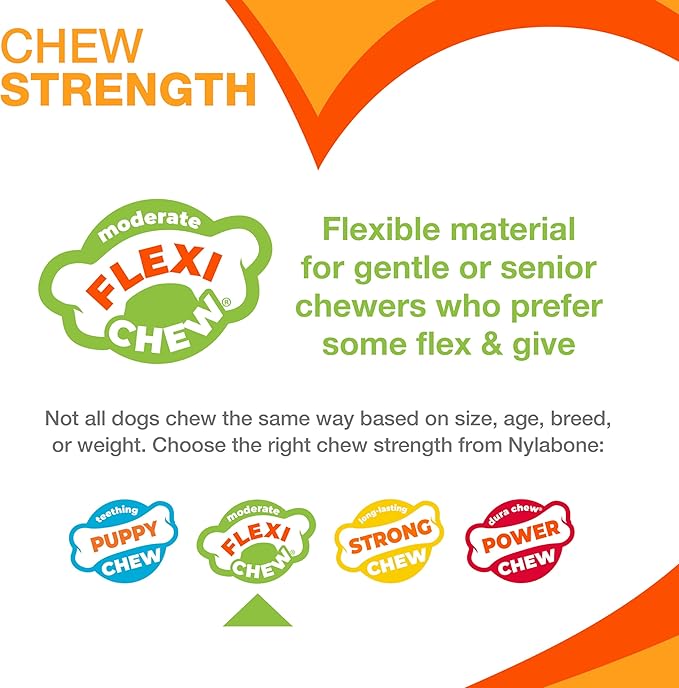 Nylabone Textured Dental Bone Flexi Chew Toy for Dogs, Dog Toys for Moderate Chewers, Chicken Flavor, Medium - Up to 35 lbs, 1 Count