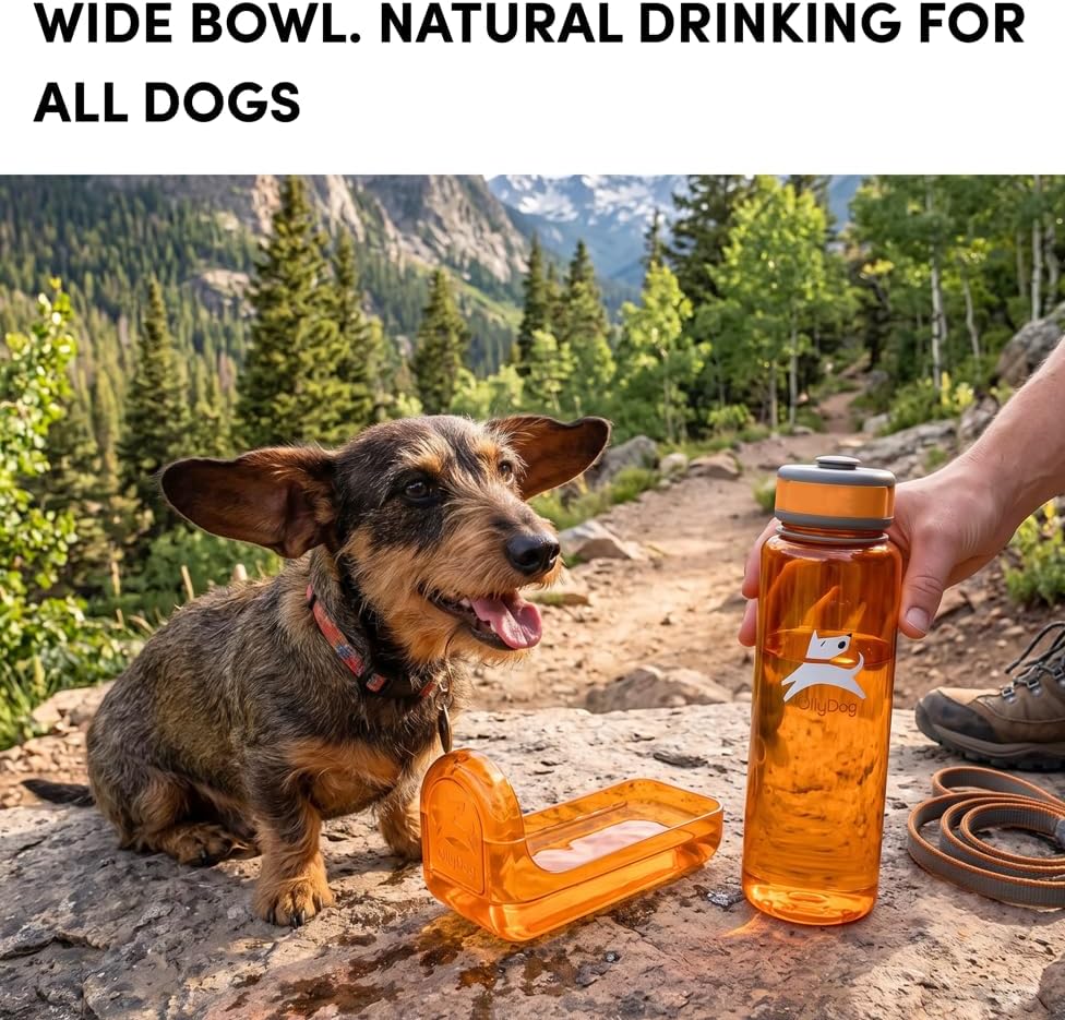 OllyDog OllyBottle | Tritan Dog Water Bottle with Detachable Bowl | BPA Free Leakproof Pet Dispenser | Hiking Travel (1L, Flame) - Image 4