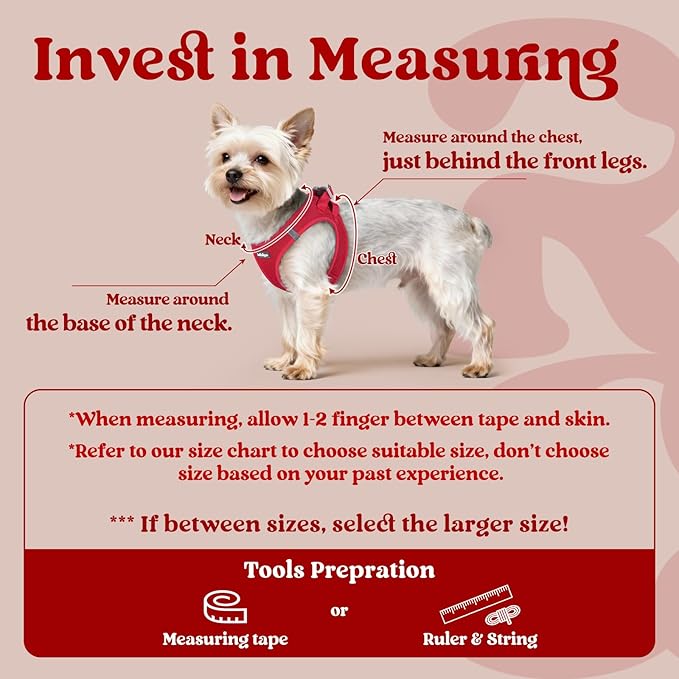 rabbitgoo Small Dog Harness, Step-in Soft Mesh Puppy Vest with Safety Buckle, Breathable Reflective Pet Harness for Small Medium Dogs, Red XL