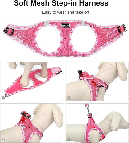 Mercano Soft Mesh Dog Harness and Leash Set, No-Chock Step-in Reflective Breathable Lightweight Easy Walk Vest Harnesses with Safety Buckle for Small Dogs, Cats (XS, Fuchsia)