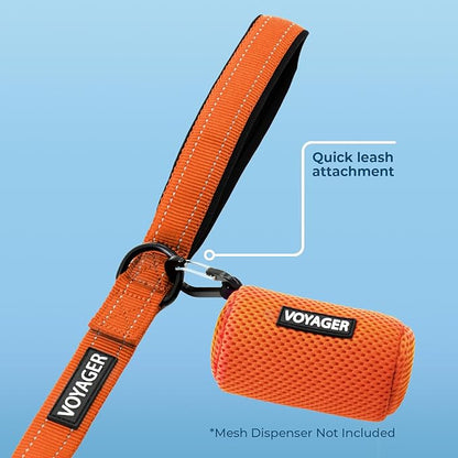 Best Pet Supplies Voyager Reflective Dog Leash or Collar with Neoprene Handle, for Small, Medium, and Large Breed Puppies, Cute and Heavy Duty for Walking, Running and Training - Orange (Leash), S
