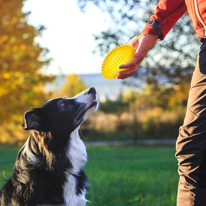 6 Pcs 4.5'' Spiky Squeaker Football Dog Toy for Medium Large Dogs Toys Heavy Duty Rubber Chew Toys for Aggressive Chewers Spiky Ball Fetch Toys for Training Clean Teeth Outdoor(Classic)