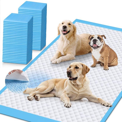 Upgraded XXXXL 31 X47 40 Counts Thicken Super Absorbent & Leak-Proof 6 Layers Puppy Pads , Disposable Potty Pads Dog Pee Pads Extra Large for Puppy, Surgery, Older, Cats, Rabbits