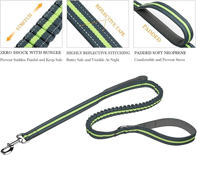 Dog Collars and Leads Heavy Duty Training Leash with Double Padded Handles Reflective 4 FT Long Perfect for Small Medium Large Dogs Walking Hiking Green LEONEBEBE