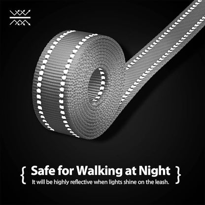 PHOEPET 5 Feet Dog Leash - Dual-Side Reflective - Soft Padded Handle - Fit for Walking, Training or Exploring Hiking, Camping (Grey + Mint Green Base)