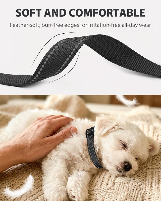 Joytale Small Dog Collar, Durable Double-Sided Reflective Nylon Collar for Night Safety, Adjustable Quick-Release for Active Breeds, Black, S (3/4" Width)