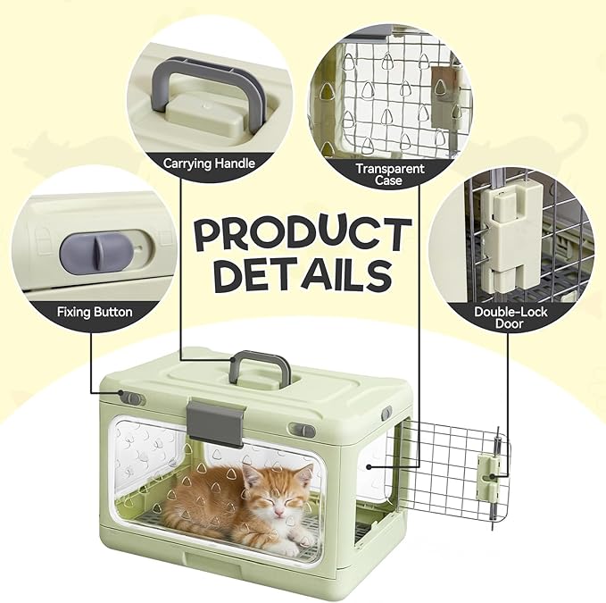 Hard Cat Carrier,Dog Crate for Small Dogs,Cat Kennel Clear,Foldable Dog Kennel with Urine Pad Mesh Grid,Ventilation & Hard Plastic Protection Transparent Pet Carrier 20" L,Green