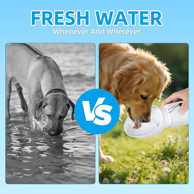 Dog Water Bottle, Leakproof Portable Water Bowl for Dog, Lightweight Water Bottle for Dogs, Food Grade Silicone, Collapsible Travel Pet Water Bottle for Outdoor Hiking Camping (Grey, 18.6 Ounces)
