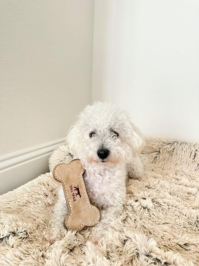 Tall Tails Dog Natural Leather Bone Fetch Toy Gift for Dogs 6 inches