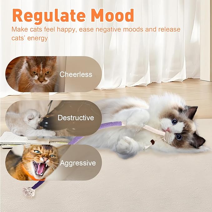 Cat Toys Chew Ropes 3Pcs with Natural Catnip, Safe Teeth Cleaning Toy for Indoor Kittens, Interactive Cat Kitty Toys for All Breeds (27.56 Inches, 3 Bags of Catnip Included)