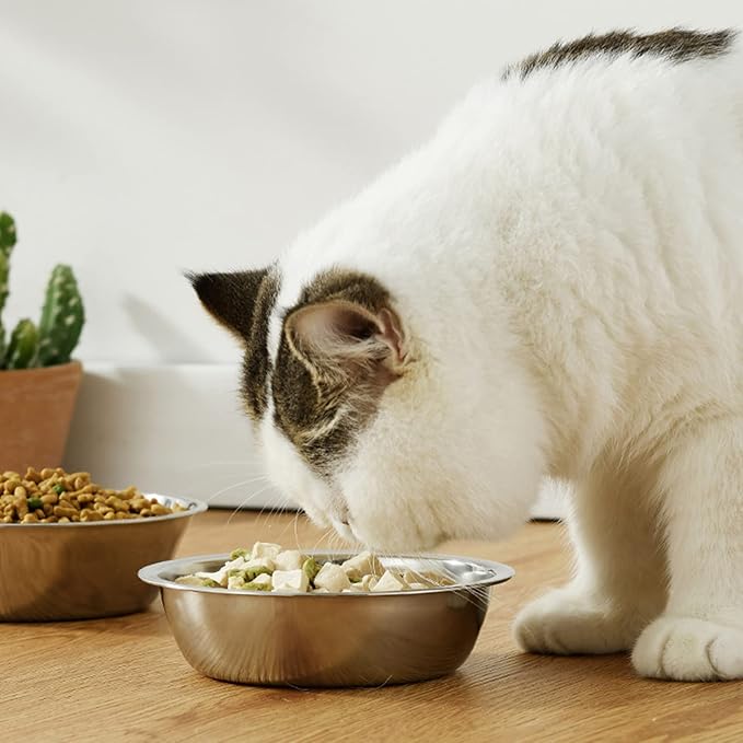 Dog Bowl Large Capacity Dog Bowl Stainless Steel Pet Feeding Bowl Cat and Dog Food Drinking Bowl Metal Feeding Bowl