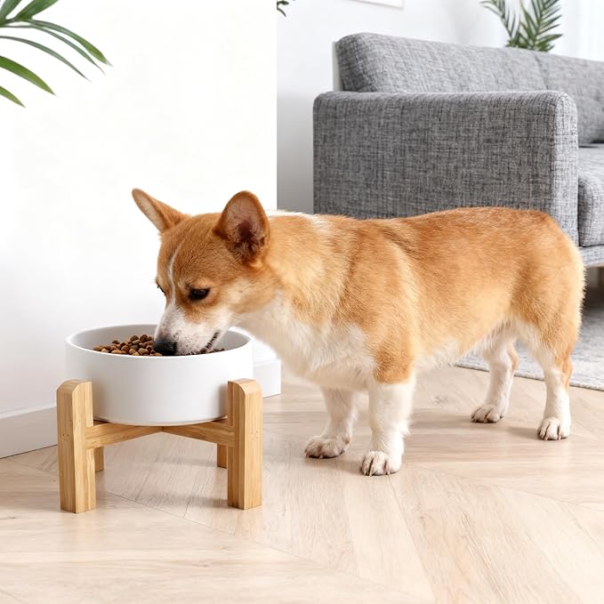 Elevated/Raised Ceramic Dog Bowl with Bamboo Stand，6 Inch 3.6 Cups Non Slip Heavy Weighted Single Pet Dish, for Small Medium Breed & Cats,Reduces Neck Strain White