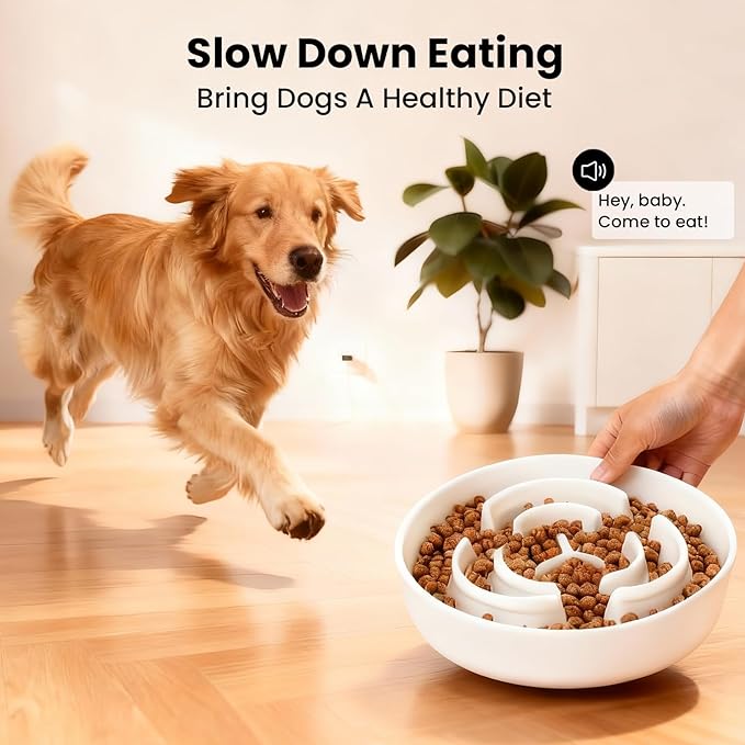 Ceramic Slow Feeder Dog Bowls,0.6 Cups Slow Feeder for Medium Large Breed,Puzzle Dog Food Bowl to Slow Down Eating, Anti-Gulping, Stop Bloat,Preventing Choking,6in,White