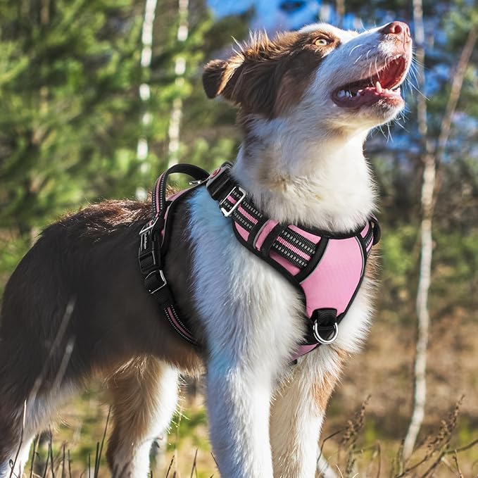 rabbitgoo Dog Harness Medium Sized, No Pull Dog Vest with 3 Buckles, Adjustable Soft Padded Pet Harness with Easy Control Handle and Reflective Strips, Light Pink, M