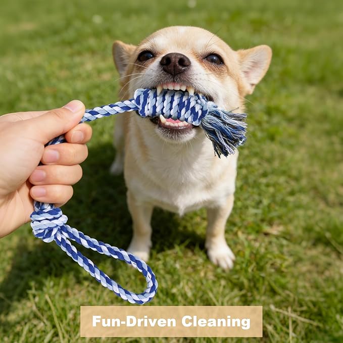 Depets Dog Rope Toys for Small Dogs, 4-Pack Durable Puppy Rope Chew Toys for Teething, Puppy Tug of War Interactive Toy, Washable Knot Dog Toy for Dental Care & Anxiety Relief