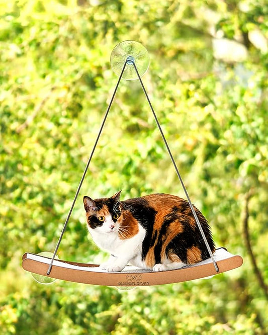 Cat Window Hammock for Large Cats – Strong Suction Cup Cat Window Perch Bed, Durable Eco, Washable Cover, Space Saving Window Seat for Indoor Cats (XL)