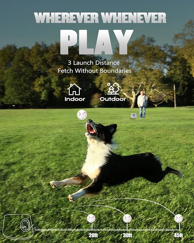 Automatic Ball Thrower for Dogs, Ball Launcher with 6 Pack 2.3" Dog Balls (Grey)