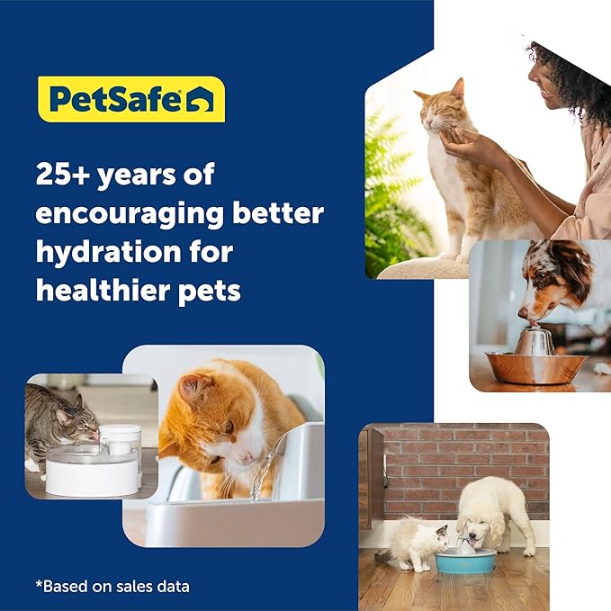 PetSafe Drinkwell Pet Fountain,Dog Water Bowl Dispenser for Cat and Dogs, Plastic, Adjustable Flow Control, Easy to Clean Design,Grey, 2 Gallon/256 oz