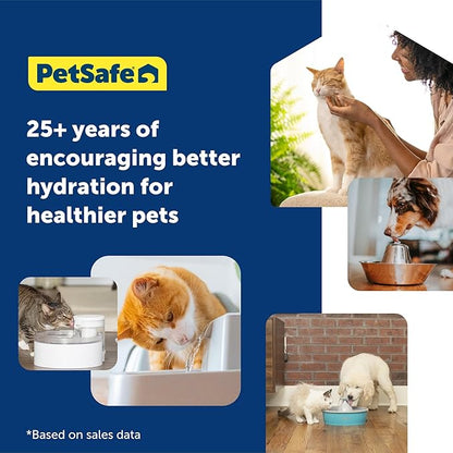 PetSafe Drinkwell Pet Fountain,Dog Water Bowl Dispenser for Cat and Dogs, Plastic, Adjustable Flow Control, Easy to Clean Design,Grey, 2 Gallon/256 oz