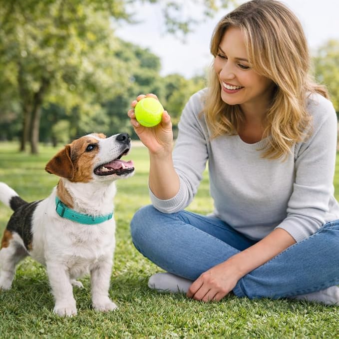 Automatic Dog Ball Launcher for Small Dogs & Medium Dogs, Interactive Fetch Machine with 3 Launch Distances (15–45 FT), USB Rechargeable, Includes 6 ETPU Balls (Mini)