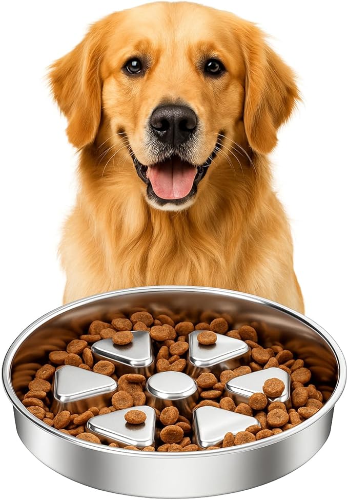 Kactoily 304 Stainless Steel Slow Feeder Dog Bowl, 2.5 Cups Non-Slip Pet Bowl, Raised Design for Slow Eating & Digestive Health - Perfect for Medium Large Dogs