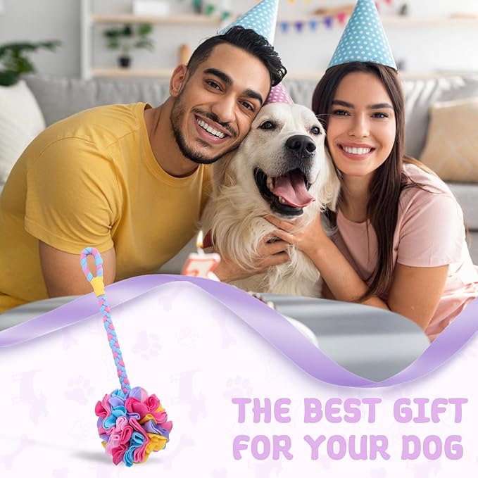 Snuffle Ball Dog Rope Toy, Tug of War Rope Toys for Small Medium Dogs, Interactive Dog Chew Toys Puppy Training Pull Toy for Exercise & Interactive Play Games (Pink)