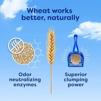 sWheat Scoop Natural Wheat Multi-Cat Litter, Superior Clumping with Odor Neutralizing Enzymes, 14 Pound Bag