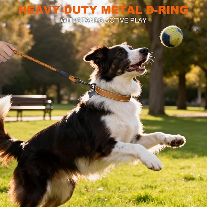 Taglory Reflective Dog Collar with Safety Locking Buckle, Soft Neoprene Padded Dog Collar for Medium Dogs, Metal D-Ring, Adjustable Nylon Neck Strap for Daily Walking, Training & Running, Tan, M