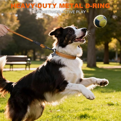 Taglory Reflective Dog Collar with Safety Locking Buckle, Soft Neoprene Padded Dog Collar for Medium Dogs, Metal D-Ring, Adjustable Nylon Neck Strap for Daily Walking, Training & Running, Tan, M