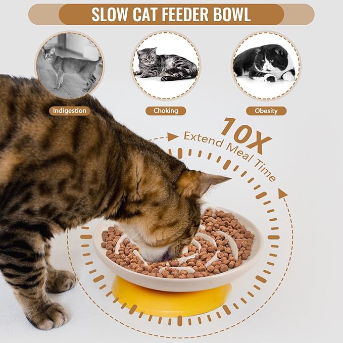 Slow Feeder Cat Bowl Set of 2, Ceramic Slow Feeding Cats Bowl Whisker Friendly, Anti Vomiting Cat Feeder for Dry and Wet Food，Fun Maze Interactive Bloat Stop Puzzle Bowls for Healthy Eating Diet