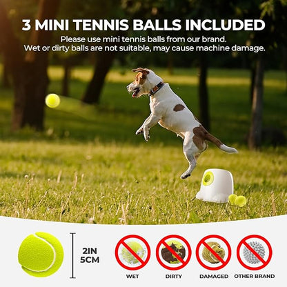 ALL FOR PAWS Automatic Ball Launcher for Dogs Interactive Puppy Pet Ball Indoor Thrower Fetch Machine, 3 Balls Included (2 inch) + Six Tennis Balls Bundle