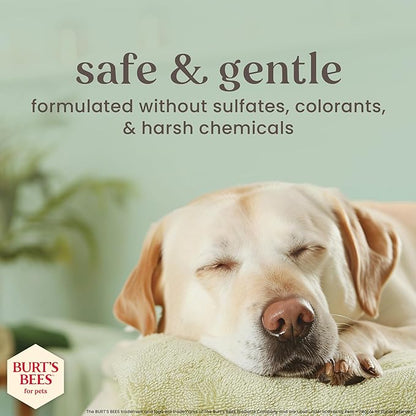 BURT'S BEES FOR PETS Deodorizing Dog Spray with Manuka Honey and Charcoal for Dogs - Naturally Derived Ingredients, Formulated without Artificial Fragrances, Sulfates, Colorants, 10 Fl Oz