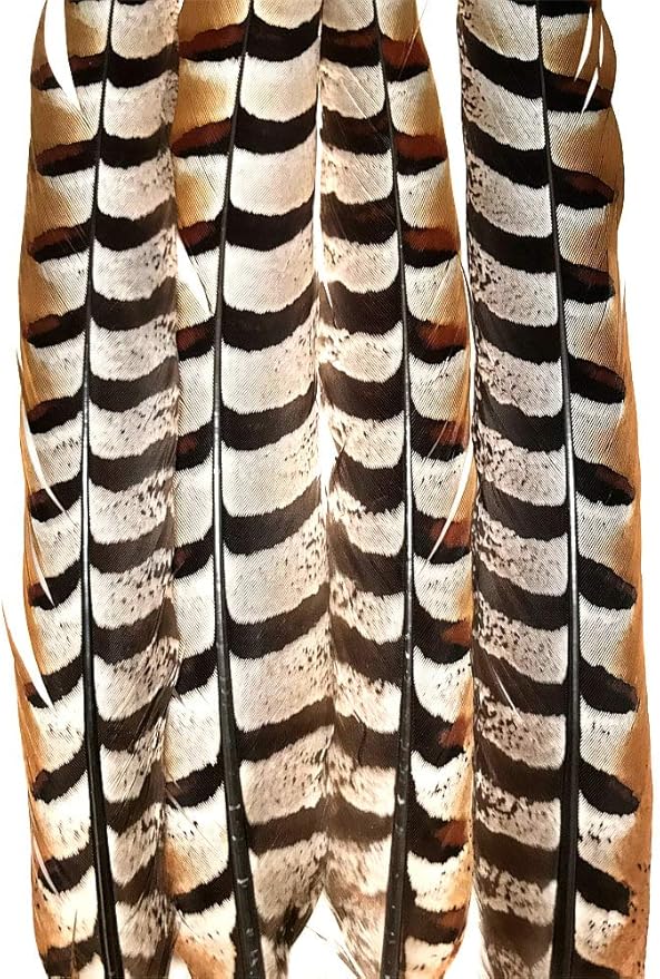 Pheasant Tail Feather Mix (16-18" per 16 Feathers)