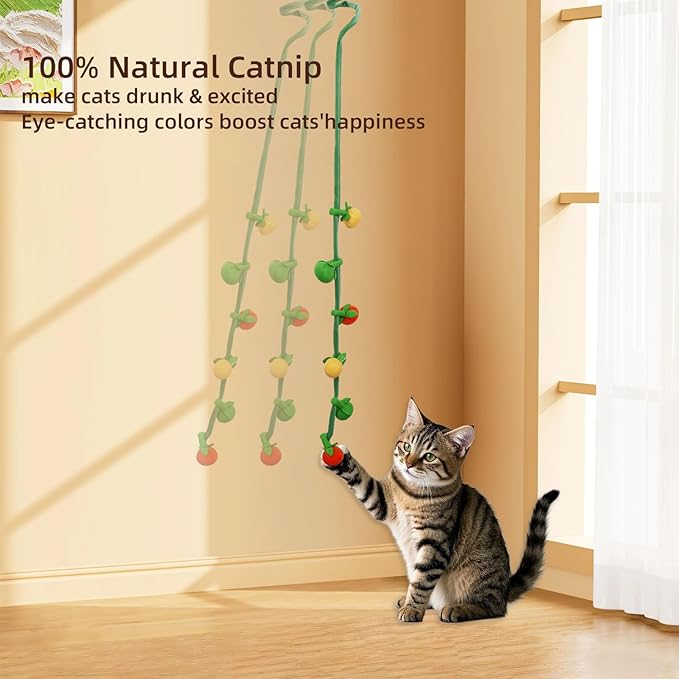 Durable Cat Toys with Catnip, Self-Play Hanging Kicker Toy for Indoor Cats, Interactive Window/Door Mount Design with Bell & Spring for Kittens and Adult Cats (Red&Green&Yellow)