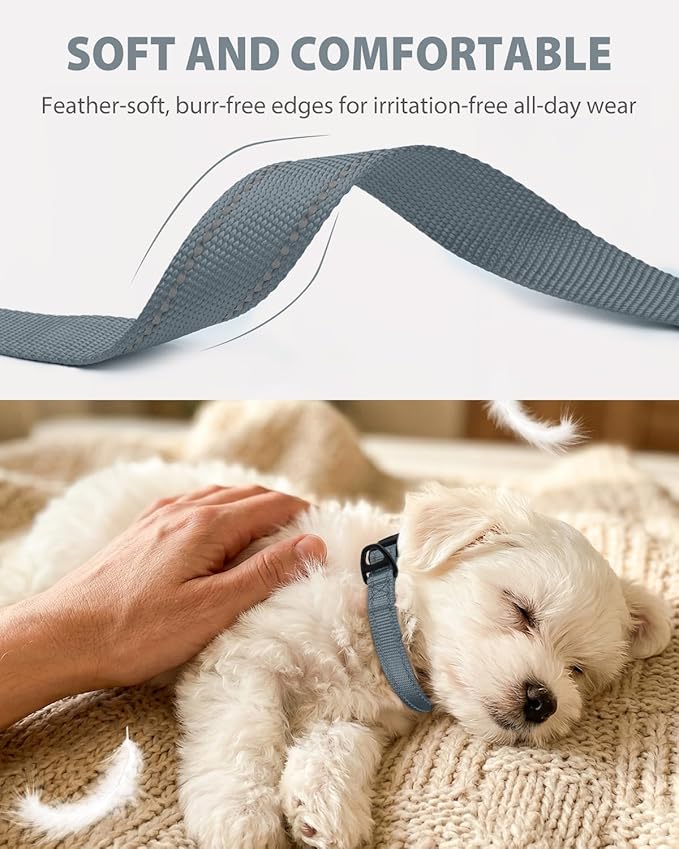 Joytale Small Dog Collar, Durable Double-Sided Reflective Nylon Collar for Night Safety, Adjustable Quick-Release for Active Breeds, Gray, S (3/4" Width)